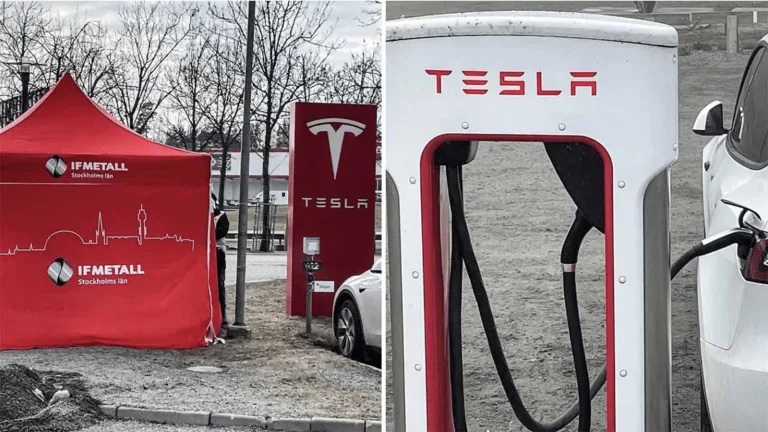 Småföretagare oskyldiga offer för Tesla-strejken